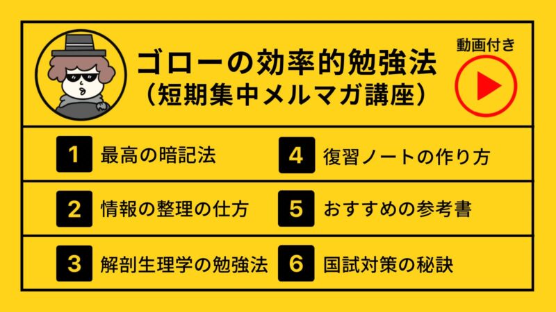 解剖生理学 「超速ゴロ勉」本の紹介 | ゴローの解剖生理学勉強法